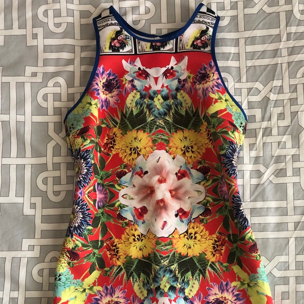 Clover Canyon Scuba Dress